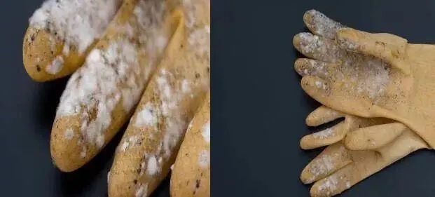 塑膠手套發(fā)霉了怎么辦？工廠必看塑膠手套防霉方案！