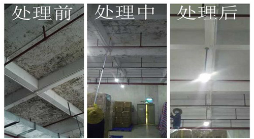 除霉前后對比