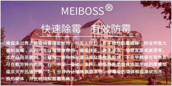 樓盤除霉劑
